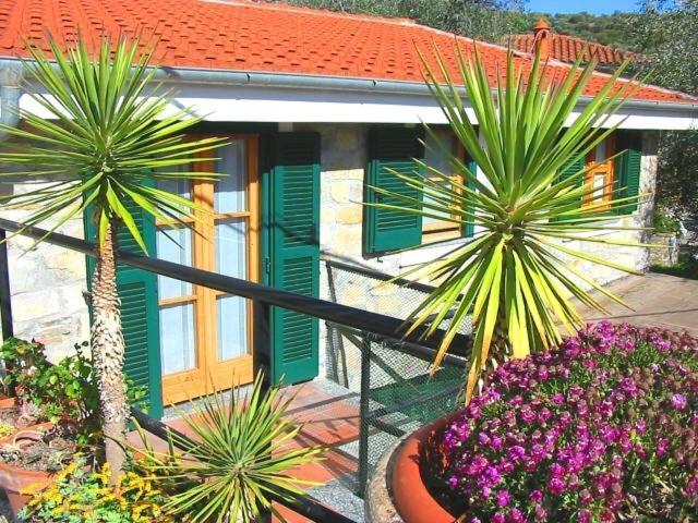 Villa Un Posto Al Sole Diano San Pietro Exterior foto